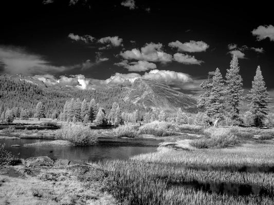 Yosemite Lake Landscape