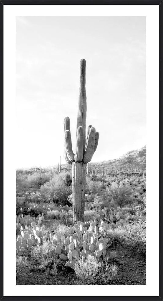 Desert Sentinel