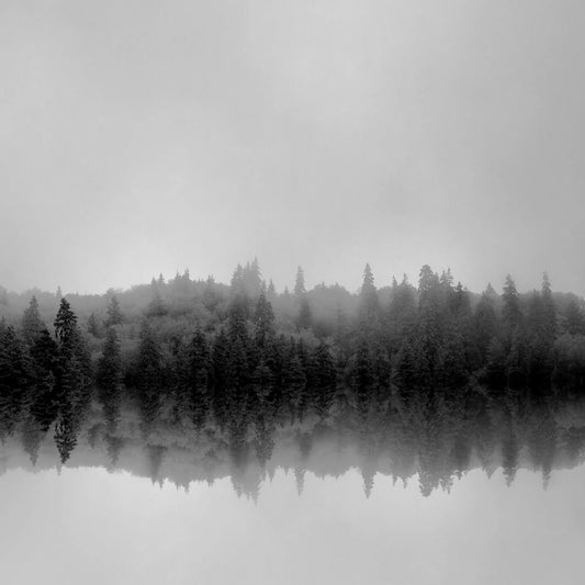 Lake Reflections